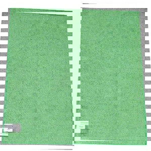16 x 16 in. Towel in Green (Pack of 12)